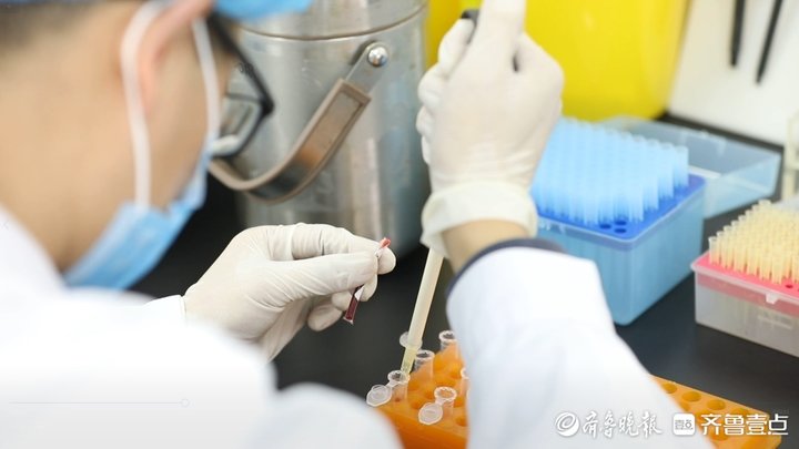 中国脐带血库_山东省脐血库_脐带血储存机构选择