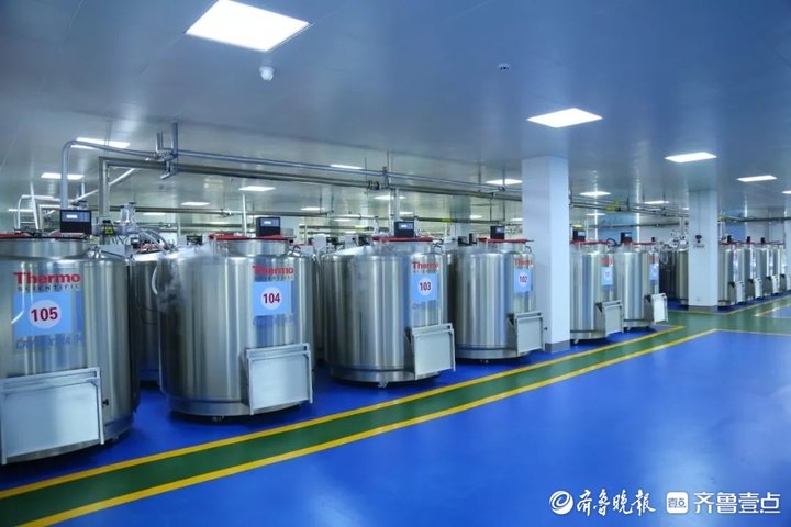 山东省脐血库_脐带血储存机构选择_中国脐带血库